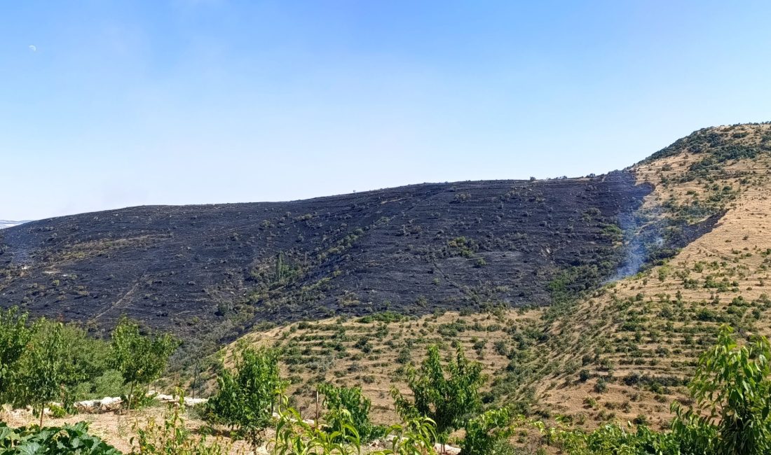 Afyonkarahisar'da engebeli otluk alanda başlayıp rüzgarın etkisiyle geniş bir alana