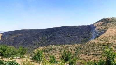 Afyonkarahisar'da engebeli otluk alanda başlayıp rüzgarın etkisiyle geniş bir alana