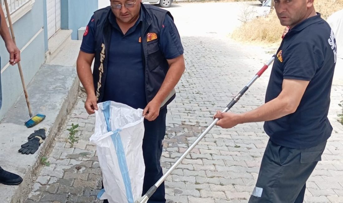  Afyonkarahisar'ın Sandıklı ilçesinde bir eve giren yılan, itfaiye ekiplerinin