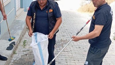  Afyonkarahisar'ın Sandıklı ilçesinde bir eve giren yılan, itfaiye ekiplerinin
