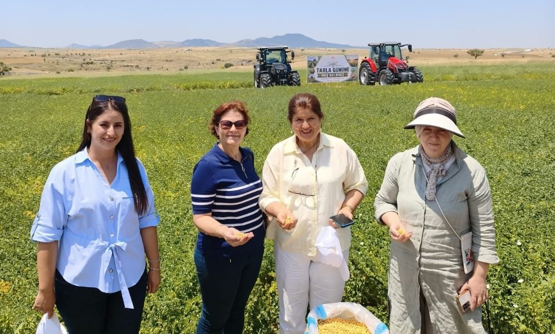 Denizli’de geliştirilen Borsa-20 nohut çeşidi, yalnızca Denizli'de değil; Antalya, Afyonkarahisar,