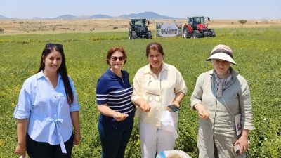 Denizli’de geliştirilen Borsa-20 nohut çeşidi, yalnızca Denizli'de değil; Antalya, Afyonkarahisar,