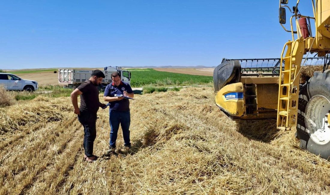 Afyonkarahisar'da hububat hasat sezonu Başmakçı, Bolvadin ve Dazkırı ilçelerinde başladı.