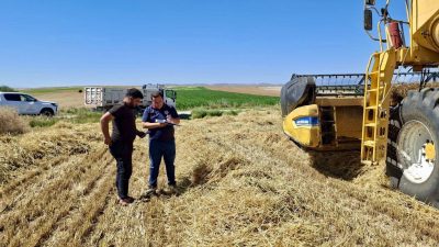 Afyonkarahisar'da hububat hasat sezonu Başmakçı, Bolvadin ve Dazkırı ilçelerinde başladı.