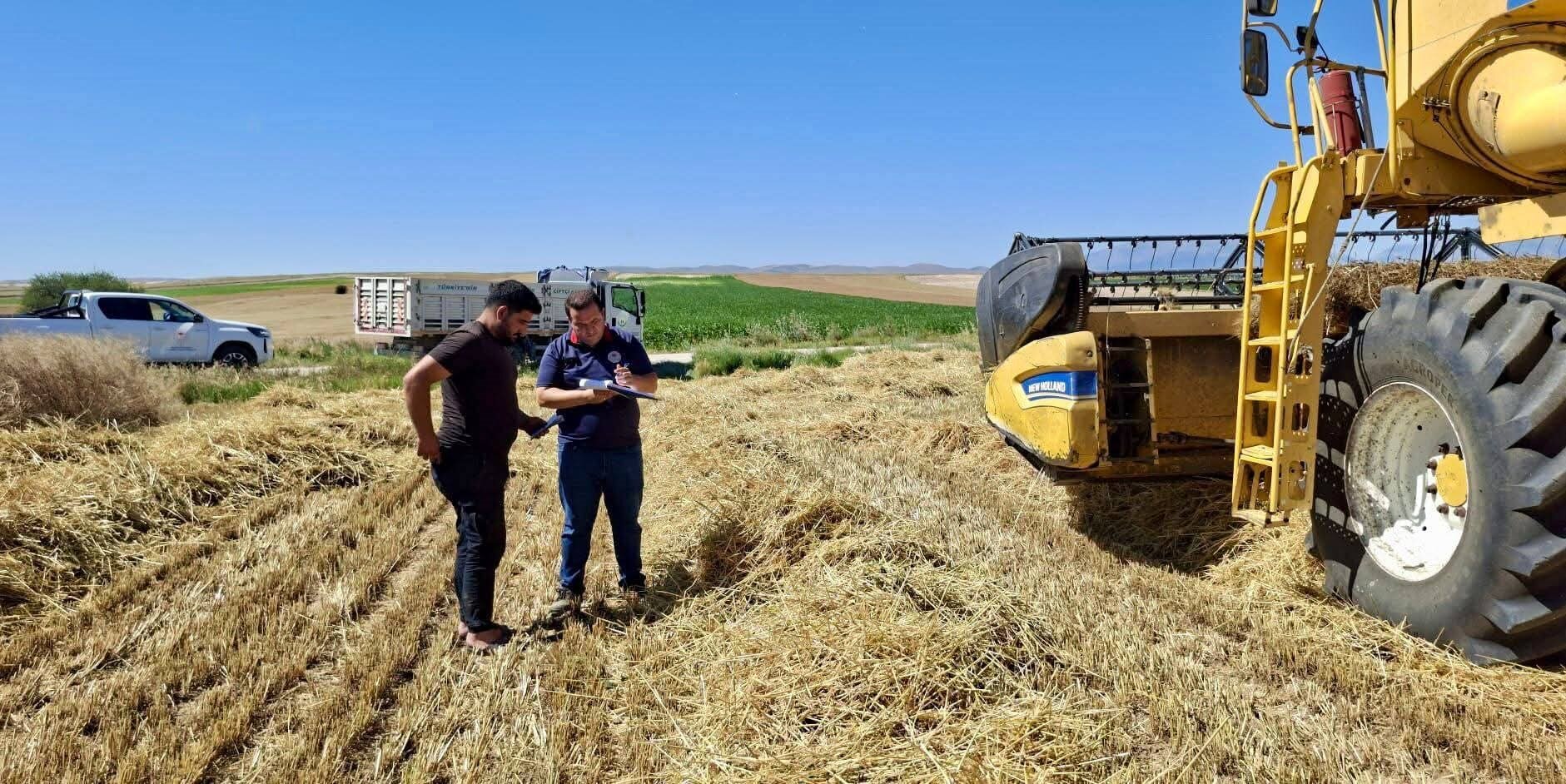 Afyonkarahisar'da hububat hasat sezonu Başmakçı, Bolvadin ve Dazkırı ilçelerinde başladı.