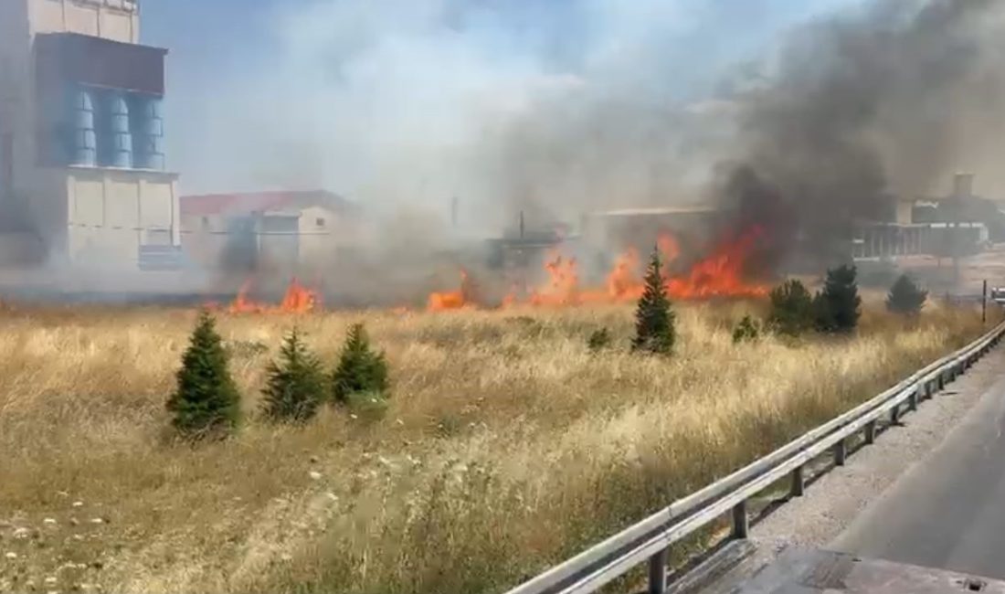 Afyonkarahisar’da çıkan anız yangınında dumandan dolayı trafikte kısa süreli aksama