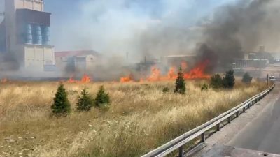 Afyonkarahisar’da çıkan anız yangınında dumandan dolayı trafikte kısa süreli aksama