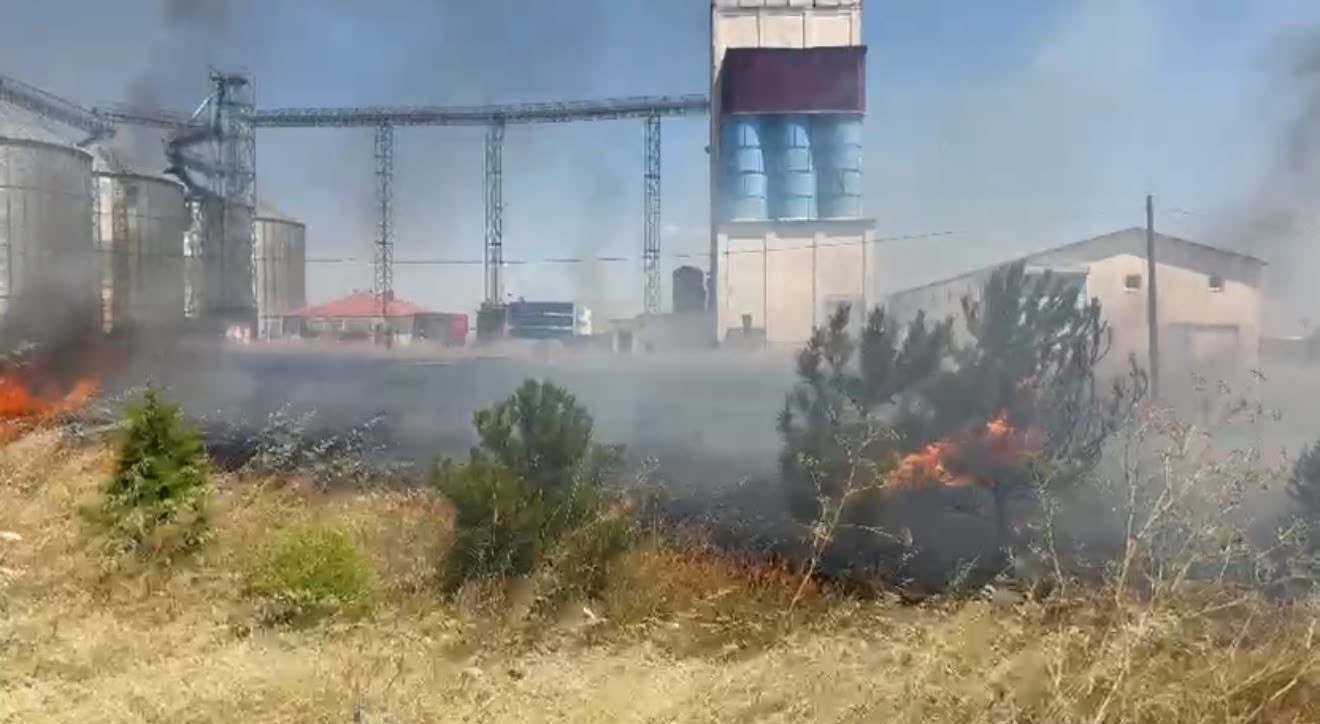 Anız yangını trafikte aksamaya neden oldu