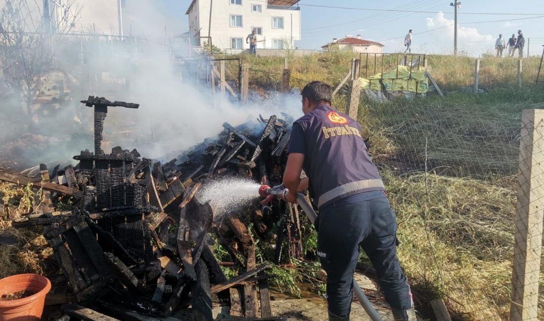 Afyonkarahisar'ın Sandıklı ilçesinde TOKİ konutlarının bulunduğu bölgedeki bir arazide odunların
