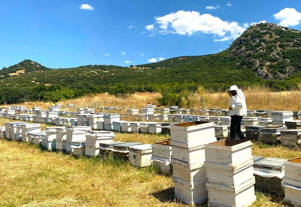 'Arıcılık Kayıt Sistemi' güncelleme çalışmaları sürüyor 2 'Arıcılık Kayıt Sistemi' güncelleme çalışmaları sürüyor