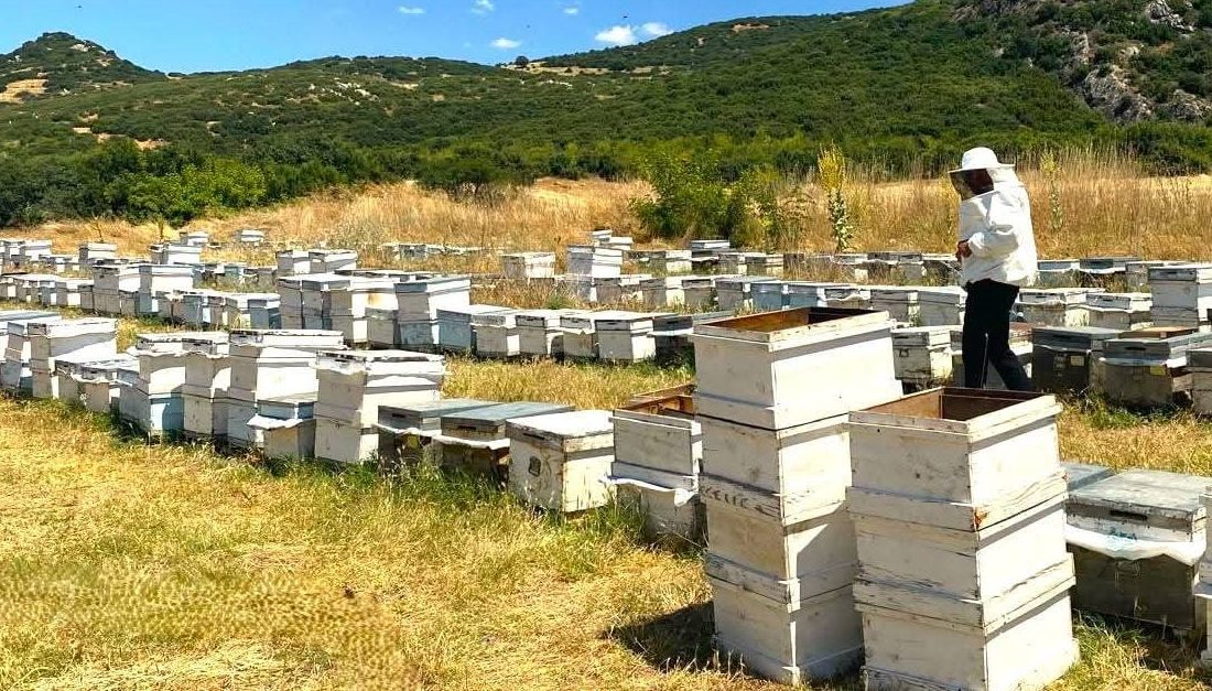 Afyonkarahisar'da arılı kovan desteği çerçevesinde, arıcılık faaliyetlerinin kayıt altına alınması
