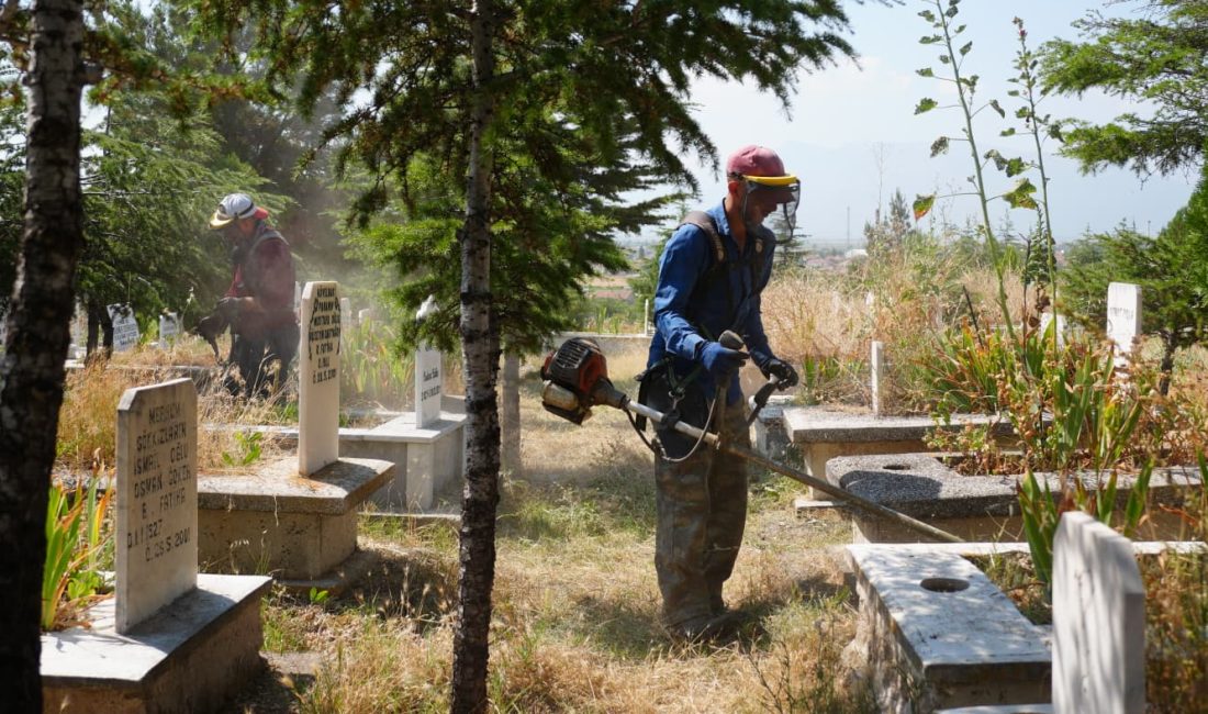 Bolvadin Belediyesi Fen İşleri Müdürlüğü Park ve Bahçeler ekipleri, vatandaşların