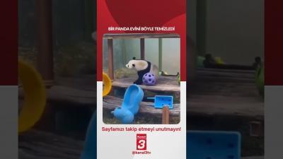 Panda evini böyle temizledi… 📶https://kanal3.com.tr/ Sosyal Medya Hesaplarımızı Takip Ederek