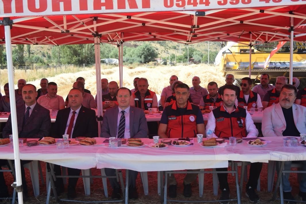 Çay'da Taner buğdayı umut verdi: Dekarda 650 kilogram verim