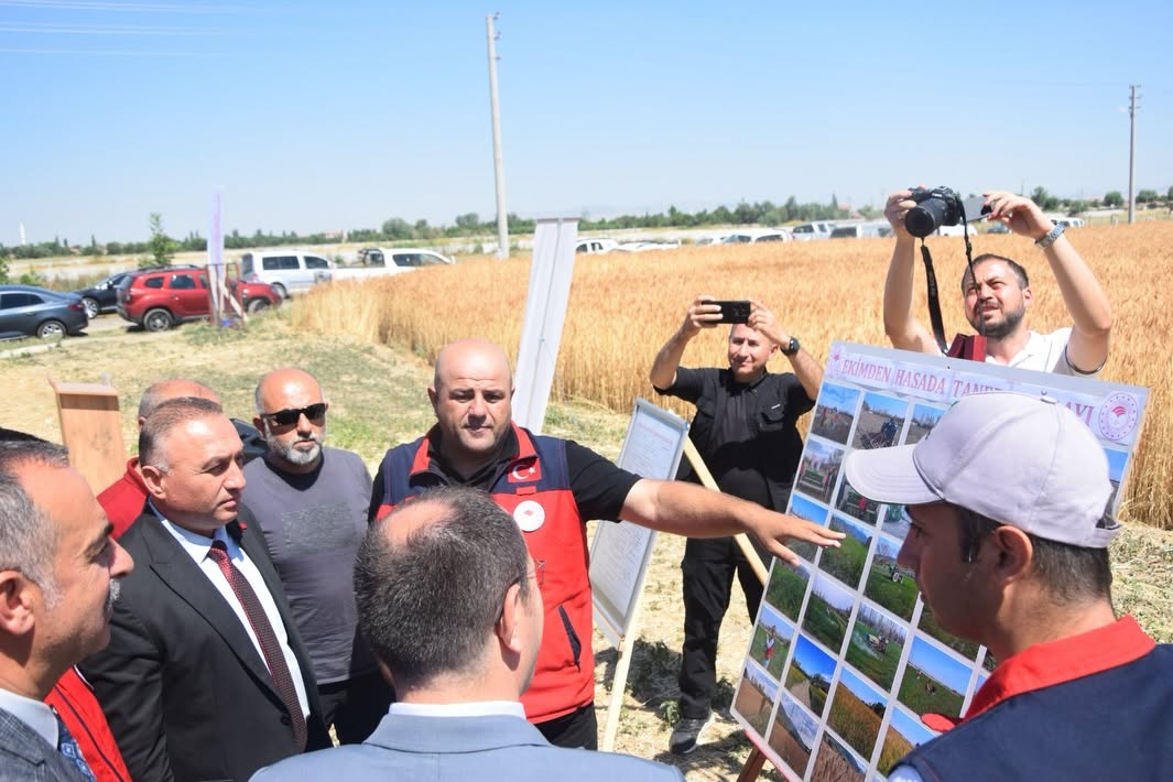 Çay'da Taner buğdayı umut verdi: Dekarda 650 kilogram verim