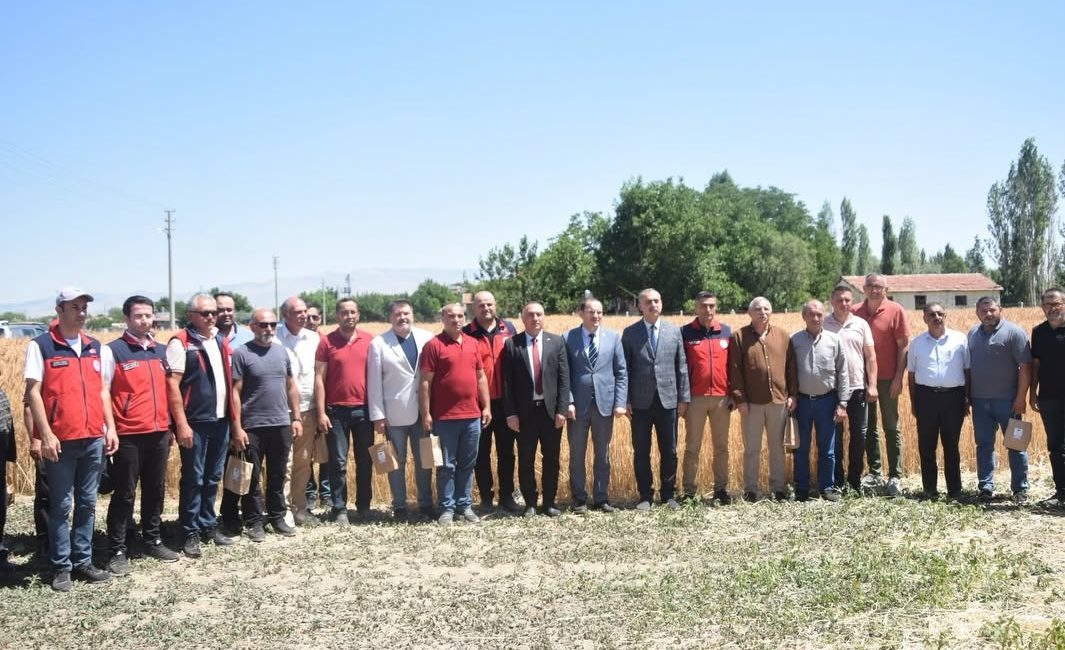 İlk hasadı yapılan Taner cinsi buğdayın yüksek rekolteli olması yüzleri
