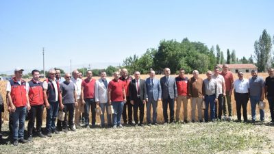 İlk hasadı yapılan Taner cinsi buğdayın yüksek rekolteli olması yüzleri