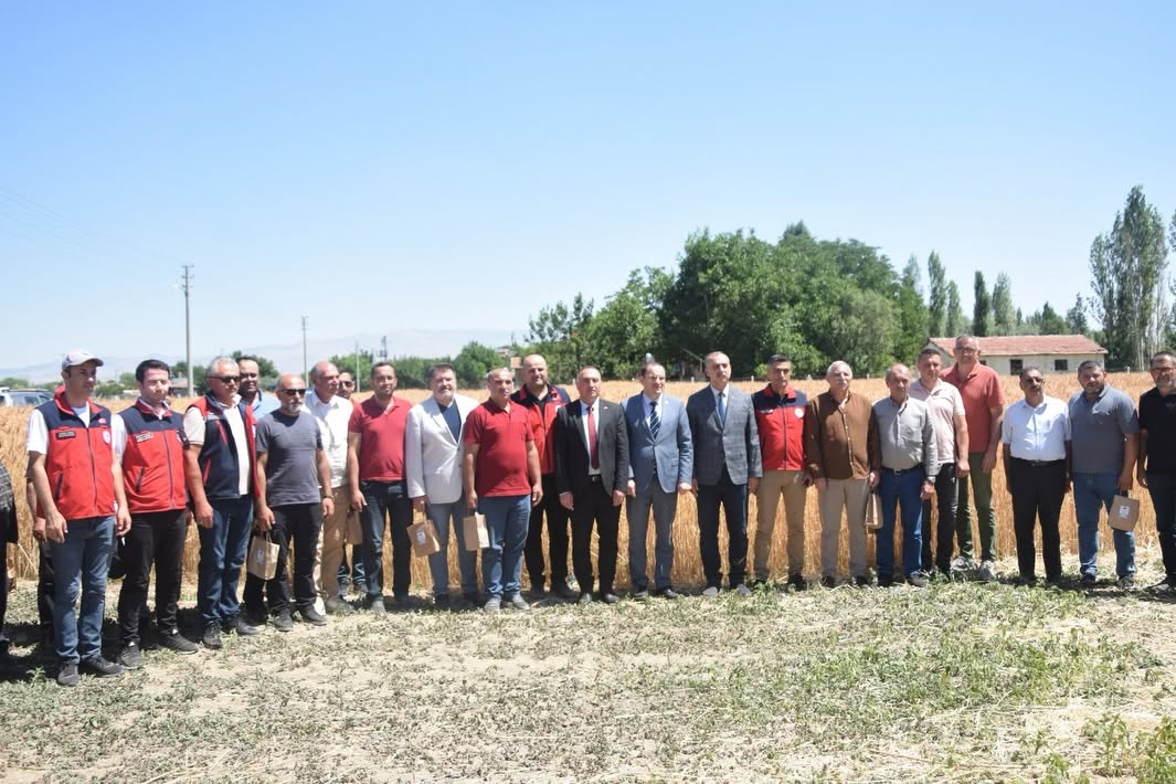 İlk hasadı yapılan Taner cinsi buğdayın yüksek rekolteli olması yüzleri