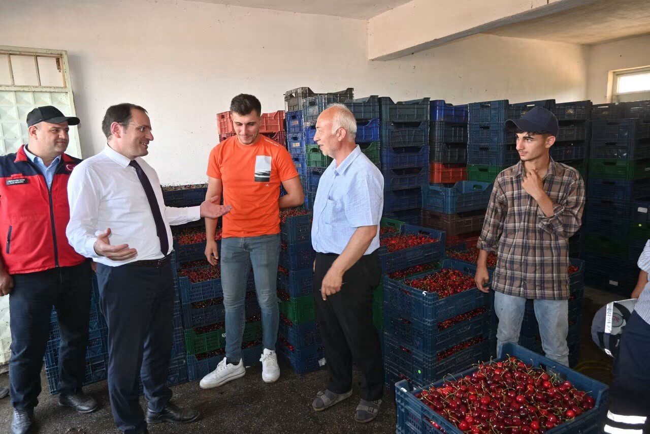 Çay'da kiraz hasadı başladı 2 Çay'da kiraz hasadı başladı