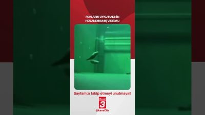 📶https://kanal3.com.tr/ Sosyal Medya Hesaplarımızı Takip Ederek Son Dakika Haberleri Alabilirsiniz;