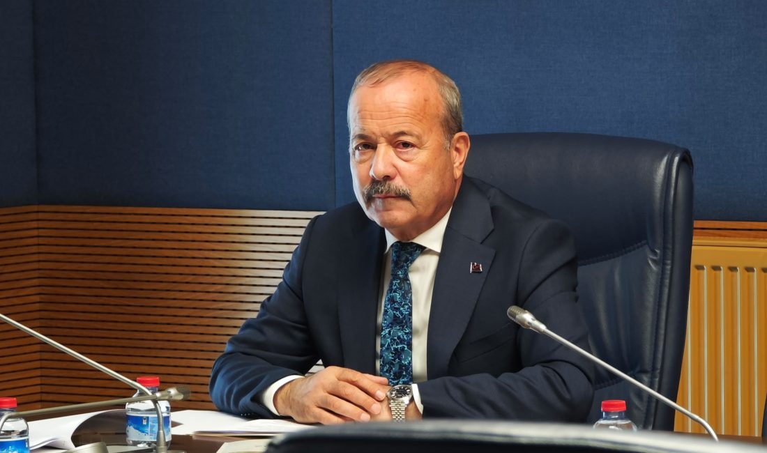 Milliyetçi Hareket Partisi Afyonkarahisar Milletvekili Mehmet Taytak, Türkiye Büyük Millet