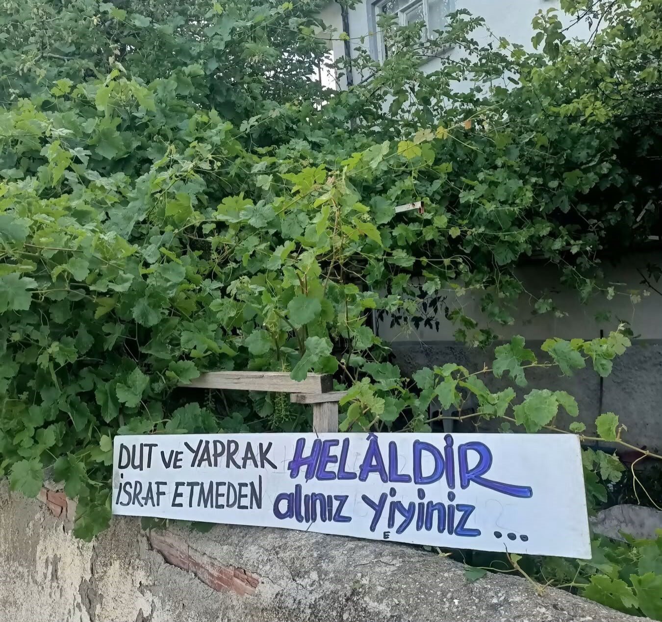 Eski belediye başkanından örnek davranış 1 Eski belediye başkanından örnek davranış