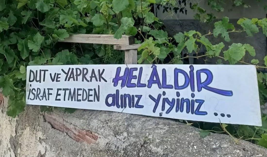Afyonkarahisar’ın Bolvadin ilçesinde 1984-1989 yılları arasında Belediye Başkanlığı görevini yürüten