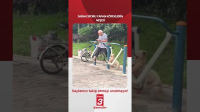 Kanal 3Cts, Temmuz 11, 2026 2:00pmURL:Embed:Sabah sporu yapan köpeklerin neşesi…