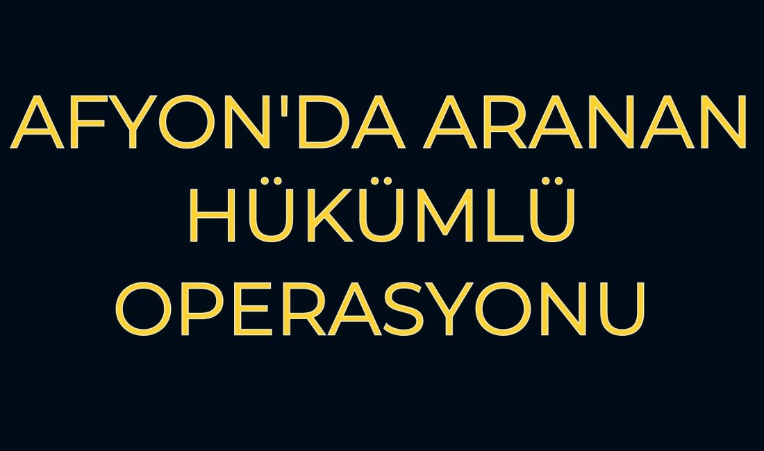 Afyonkarahisar'da 11 artı suç kaydı bulunan ve 15 yıl 25