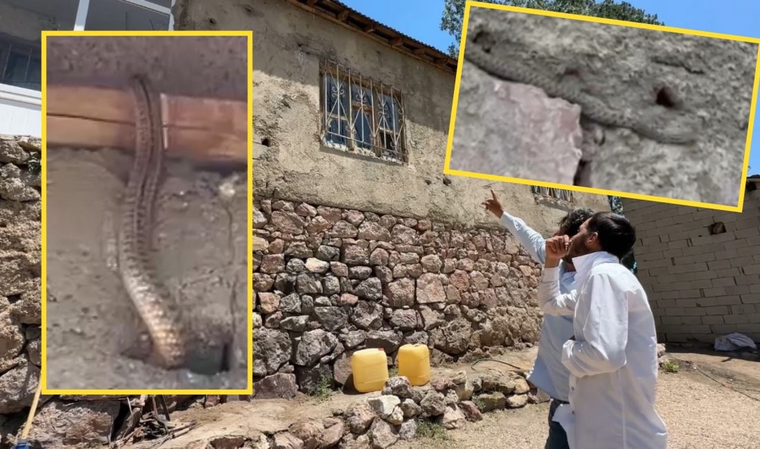 Hakkari'nin Yüksekova ilçe merkezine yaklaşık 30 kilometre uzaklıkta bulunan Aşağıolukbaşı