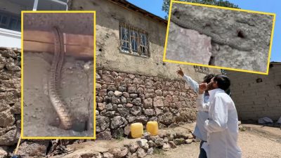 Hakkari'nin Yüksekova ilçe merkezine yaklaşık 30 kilometre uzaklıkta bulunan Aşağıolukbaşı