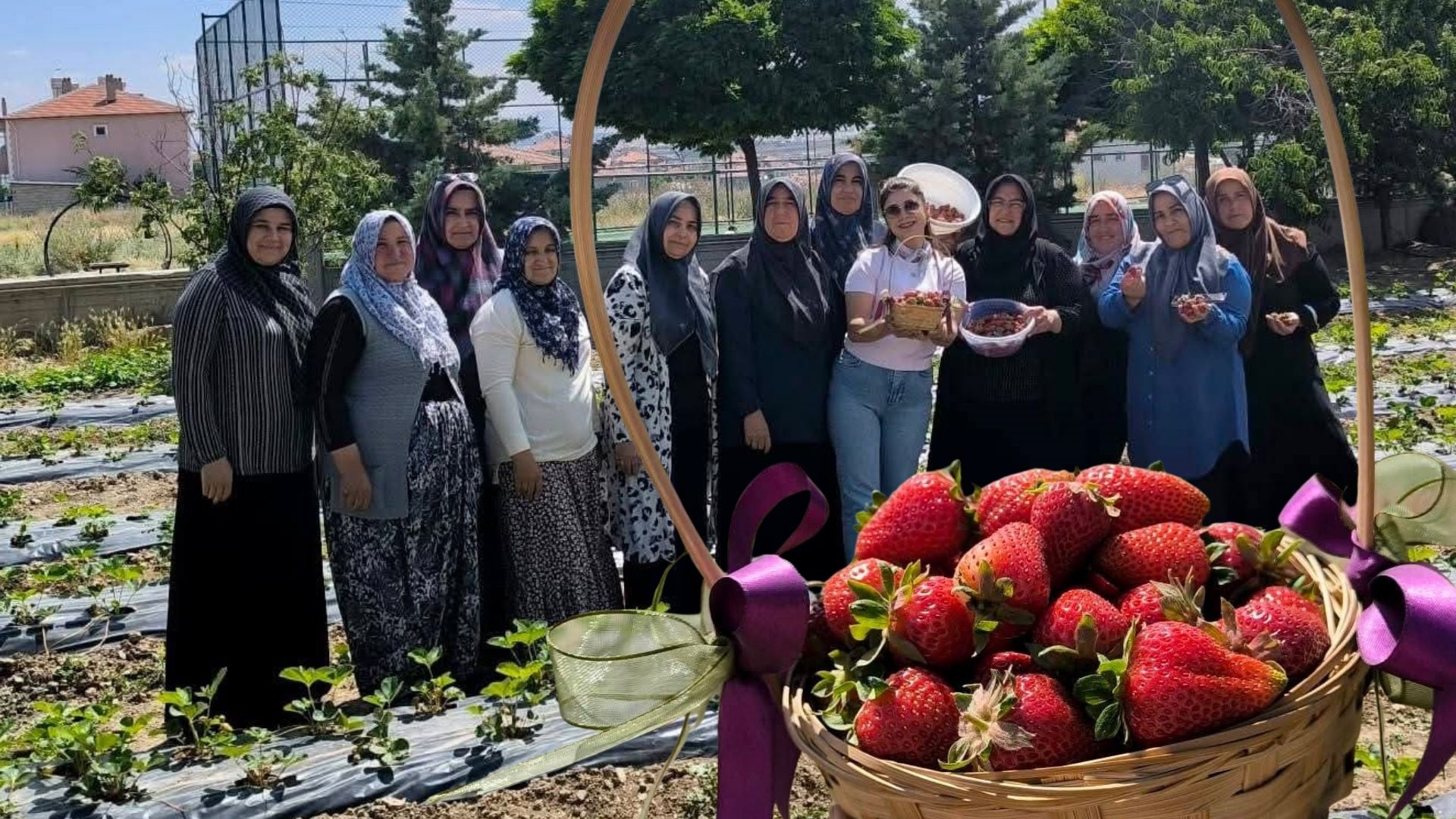Afyonkarahisar'ın İscehisar ilçesinde, Aile Destek Merkezi (ADEM) "Çilek Yetiştiriciliği Projesi"