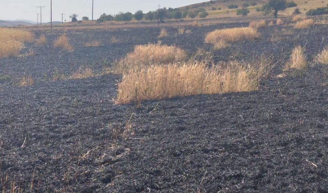 Afyonkarahisar'ın Şuhut ilçesine bağlı İcikli Köyü mevkiinde trafo kaynaklı çıkan