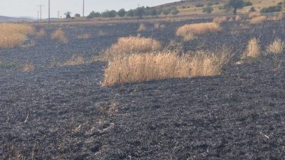 Afyonkarahisar'ın Şuhut ilçesine bağlı İcikli Köyü mevkiinde trafo kaynaklı çıkan