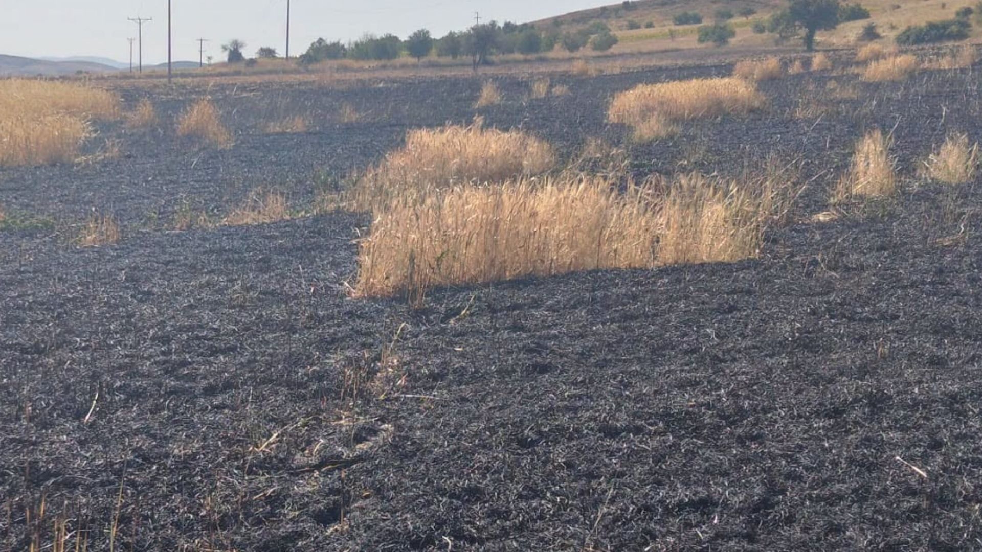Afyonkarahisar'ın Şuhut ilçesine bağlı İcikli Köyü mevkiinde trafo kaynaklı çıkan