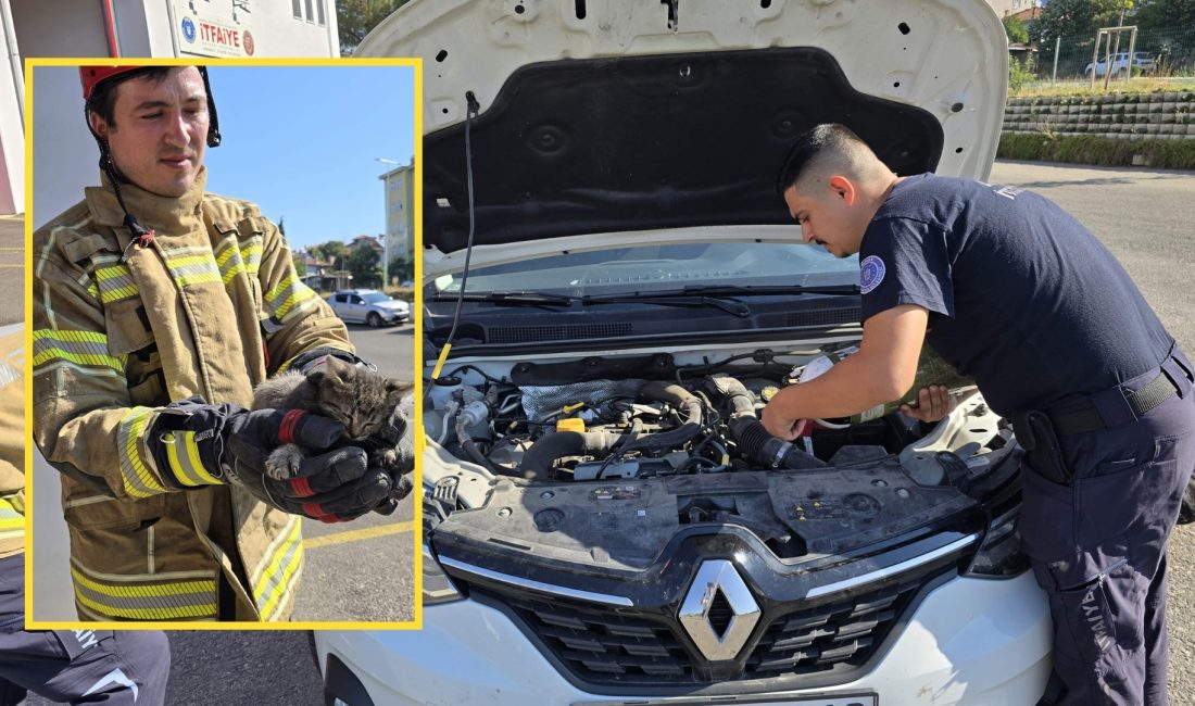 Bursa'da özel bir otomobilin motor kısmına girip sıkışan kediyi itfaiye