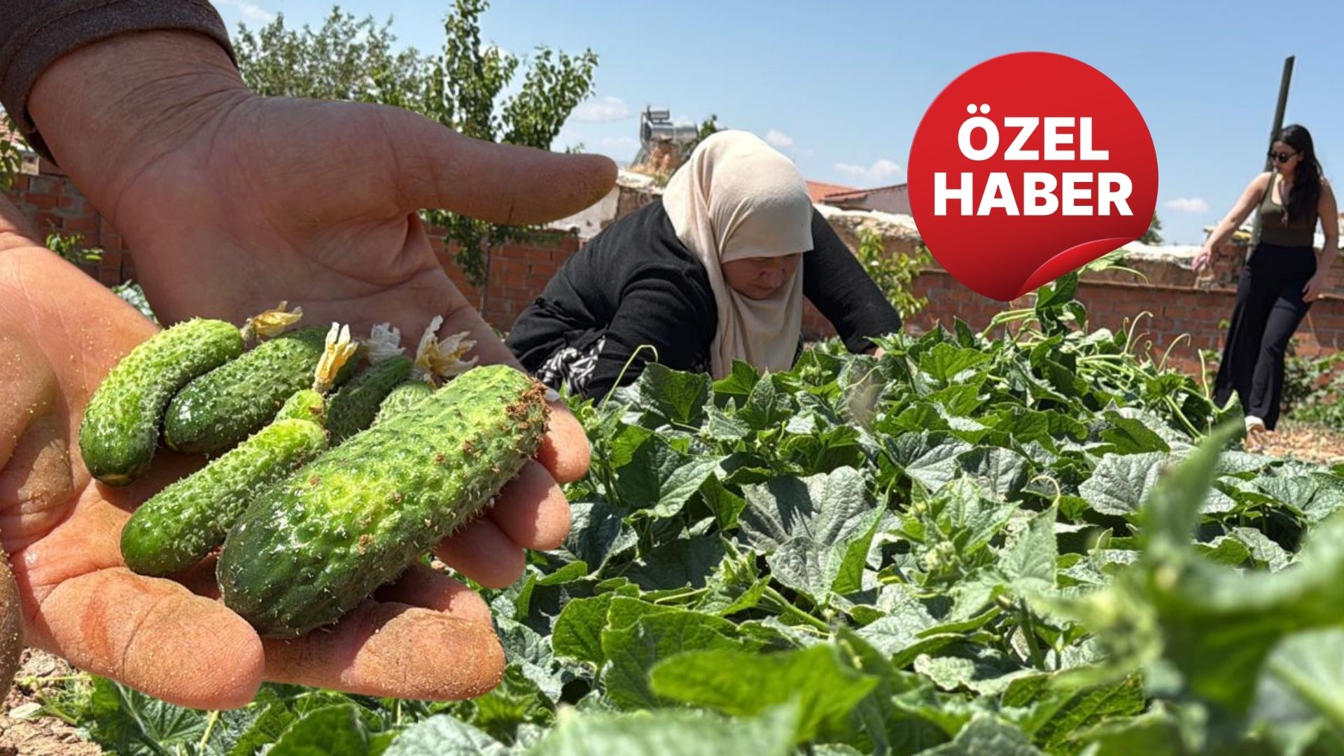 Afyonkarahisar’ın Çobanlar ilçesine bağlı Kocaöz beldesinde, bölge ekonomisinin önemli gelir