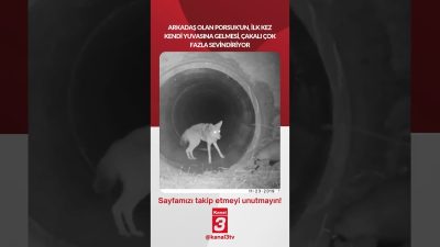 📶https://kanal3.com.tr/ Sosyal Medya Hesaplarımızı Takip Ederek Son Dakika Haberleri Alabilirsiniz;
