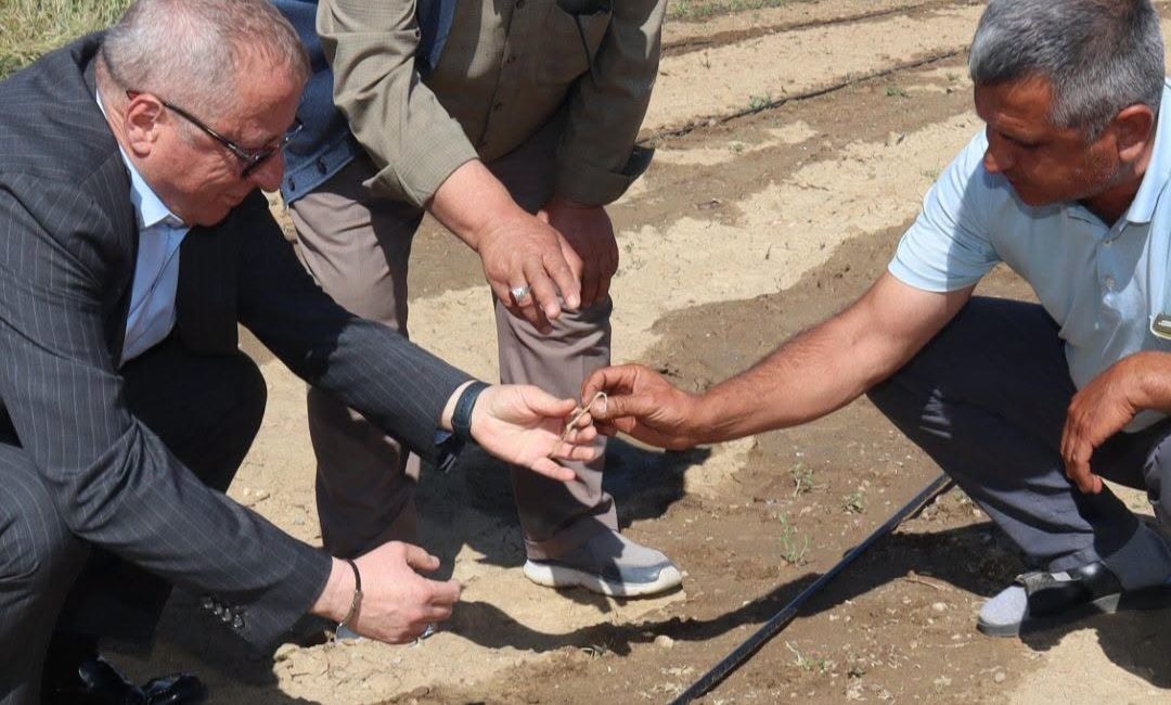 İYİ Parti Genel Başkan Yardımcısı ve Afyonkarahisar Milletvekili Hakan Şeref