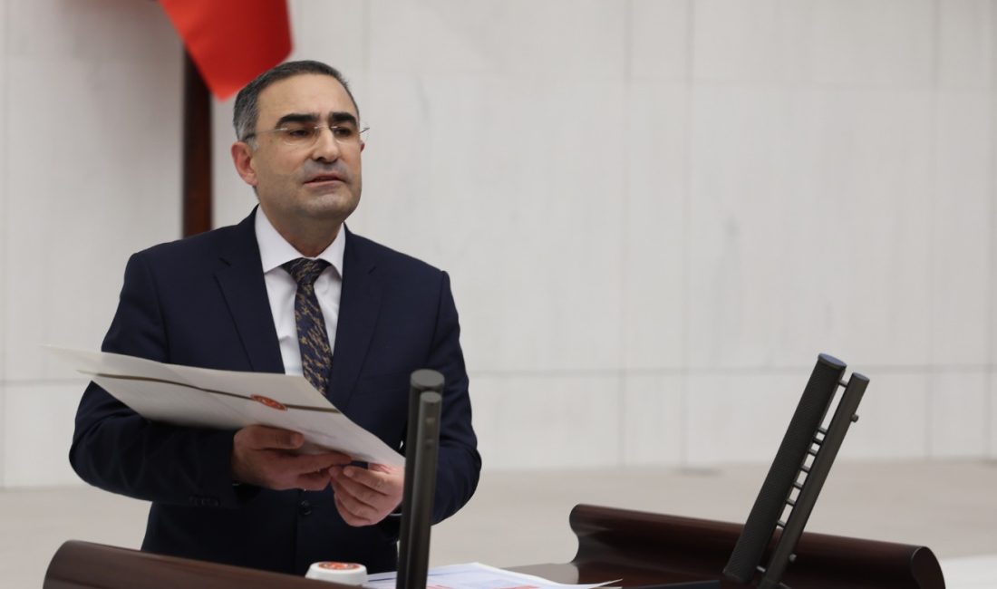 AK Parti Afyonkarahisar Milletvekili Dr. Hasan Arslan, 15 Temmuz Demokrasi