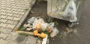 Afyonkarahisar’ın Bolvadin ilçesinde çöp konteynerleri boş olmasına rağmen atıkların dışarıya