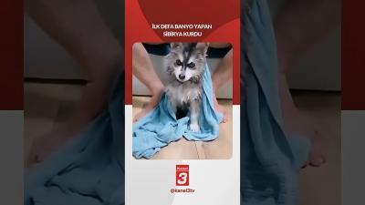 Kanal 3Cts, Temmuz 4, 2026 2:00pmURL:Embed:İlk defa banyo yapan ”Sibirya