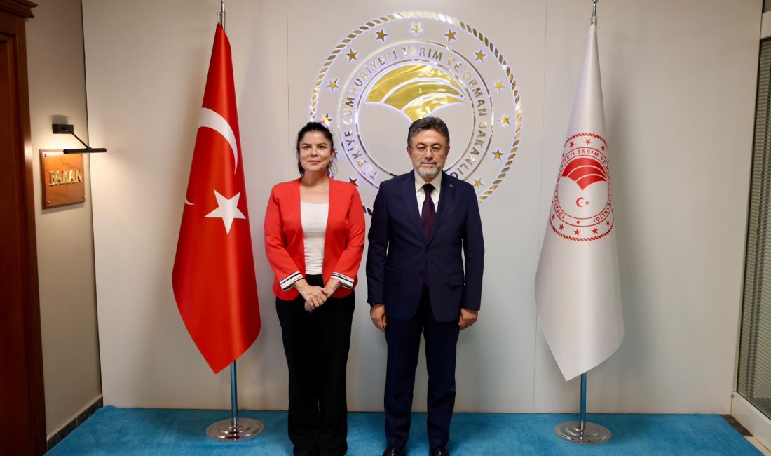Kanal 3 ve Gazete 3 Genel Müdürü Selcen Dilek Çöygün,
