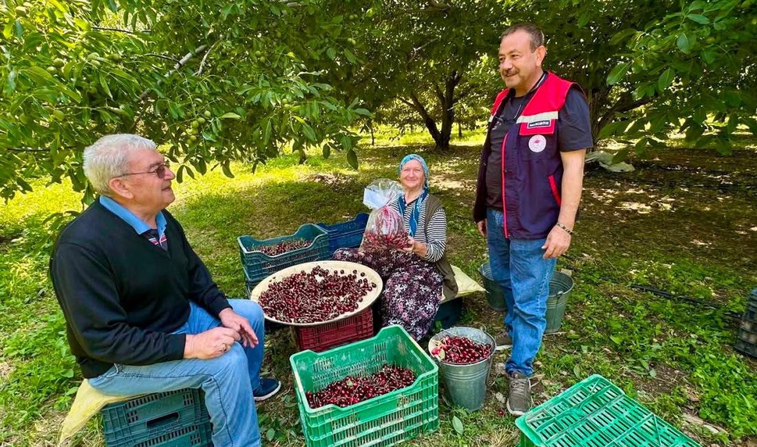 Afyonkarahisar İl Tarım ve Orman Müdürlüğü ekipleri, tüketici sağlığının korunması