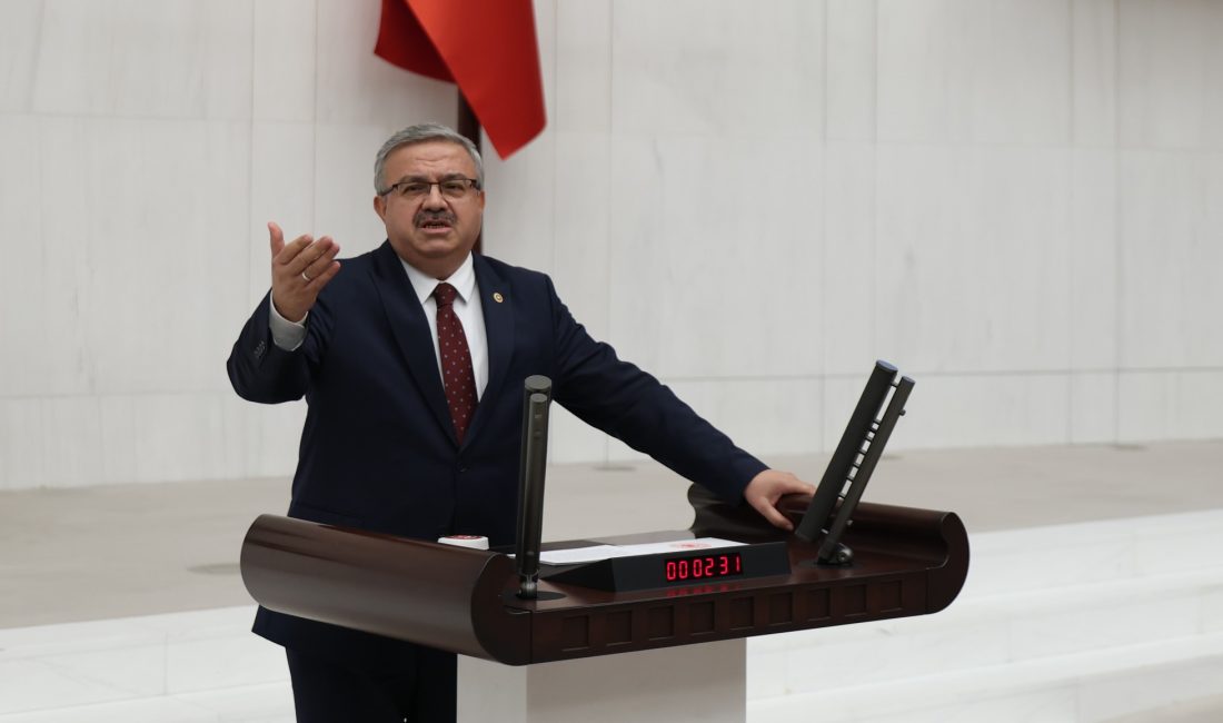 AK Parti Afyonkarahisar Milletvekili ve TBMM Başkanlık Divanı Üyesi Av.
