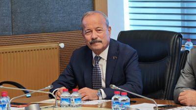 Milliyetçi Hareket Partisi Afyonkarahisar Milletvekili Mehmet Taytak, TBMM Dilekçe Komisyonu