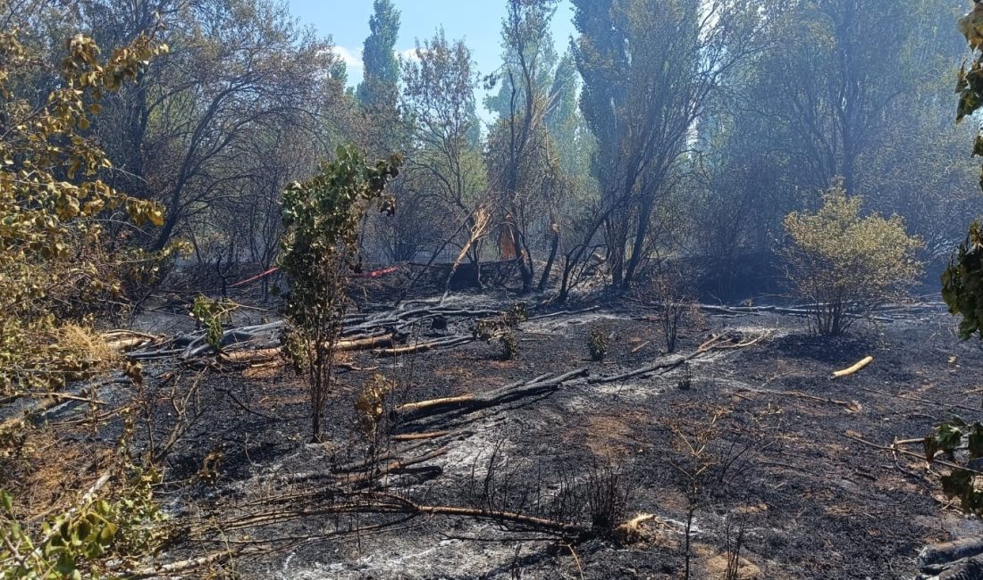 Afyonkarahisar'ın Sandıklı ilçesinde çıkan ot yangını, yerleşim yerlerine yakın olması
