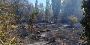 Afyonkarahisar'ın Sandıklı ilçesinde çıkan ot yangını, yerleşim yerlerine yakın olması