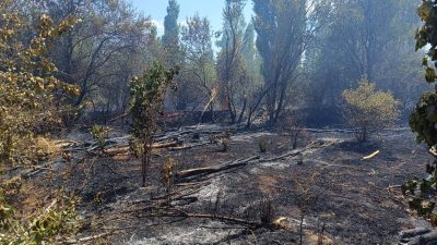 Afyonkarahisar'ın Sandıklı ilçesinde çıkan ot yangını, yerleşim yerlerine yakın olması
