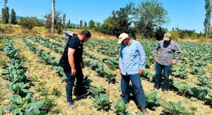 Afyonkarahisar'da bitkisel üretimde verim ve kaliteyi korumak, hastalık ve zararlıların